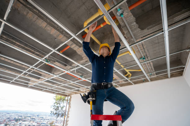 Best Leak Detection Services  in Lesslie, SC